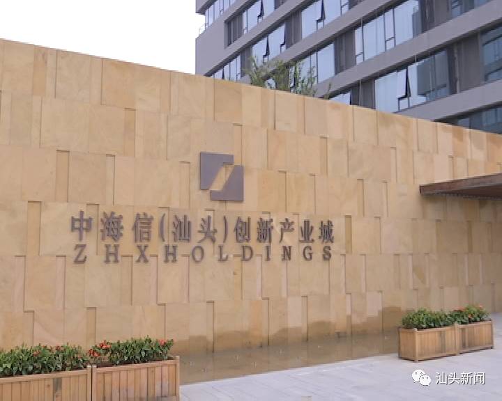 濠江区科技局最新动态，深度报道新闻