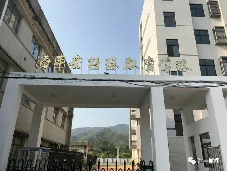 海丰县特殊教育事业单位项目最新进展及其社会影响概述