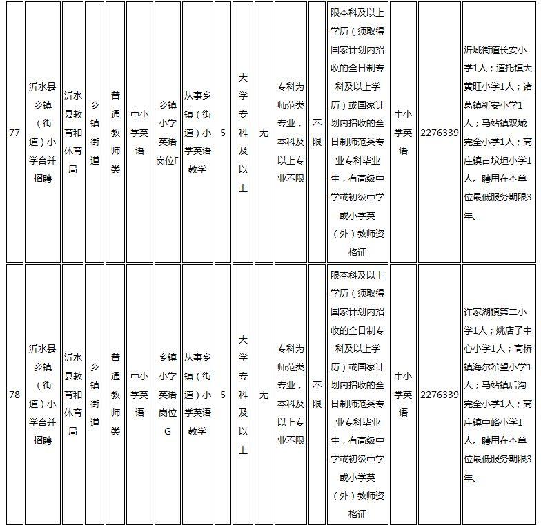 沂水最新招聘动态与职业机会展望报告