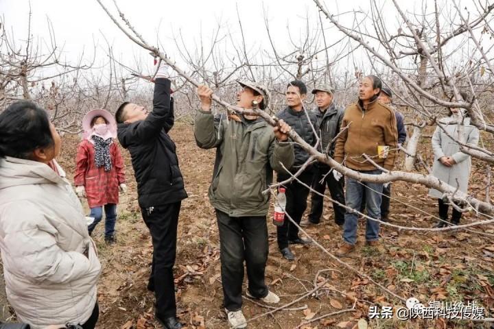 印台区科技局人事任命新动态，未来展望与领导团队更新