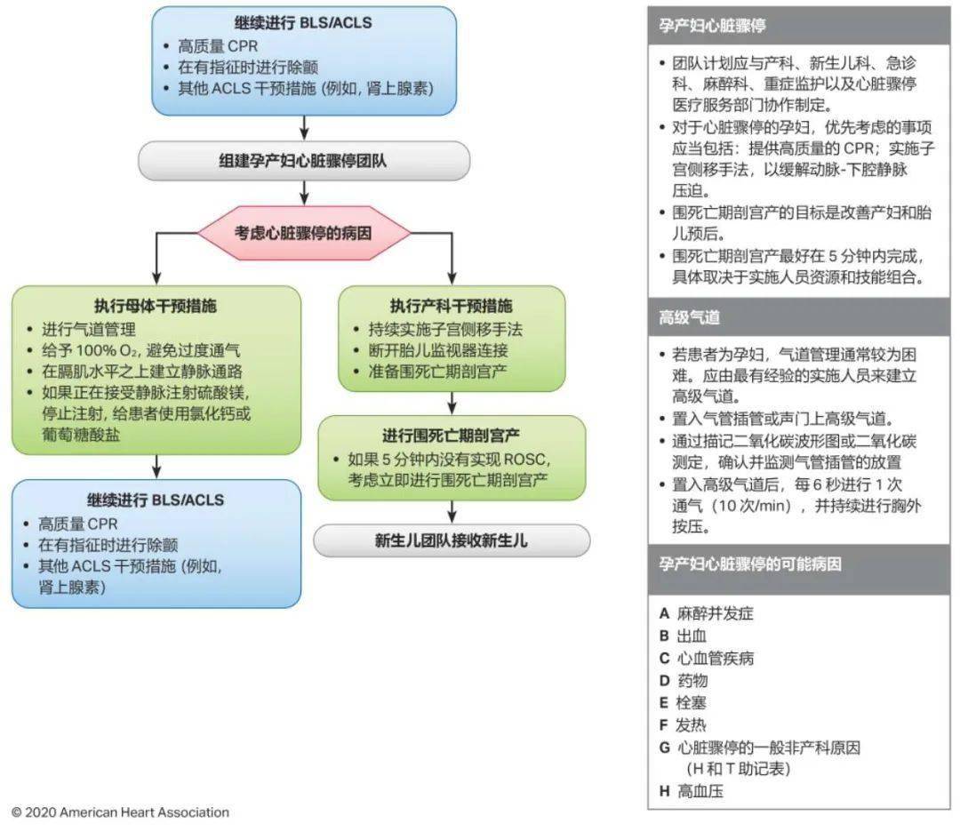 最新心肺复苏指南，拯救生命的操作手册详解