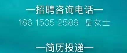 东海招聘网最新招聘动态深度解读与分析