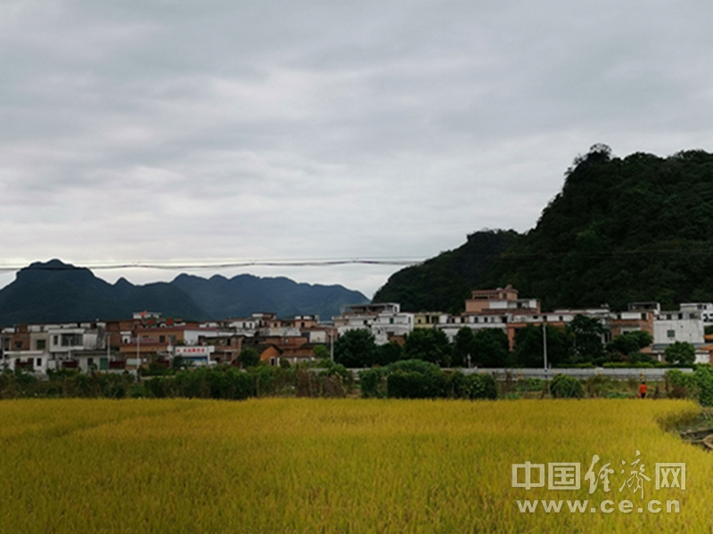 努康村最新动态报道