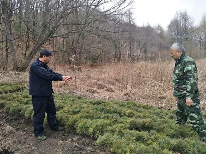 天桥岭林业局最新交通动态报道