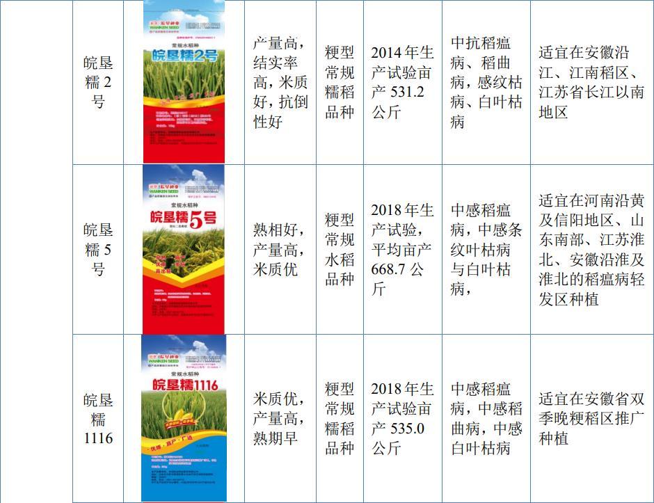 国营第一良种最新发展规划概览