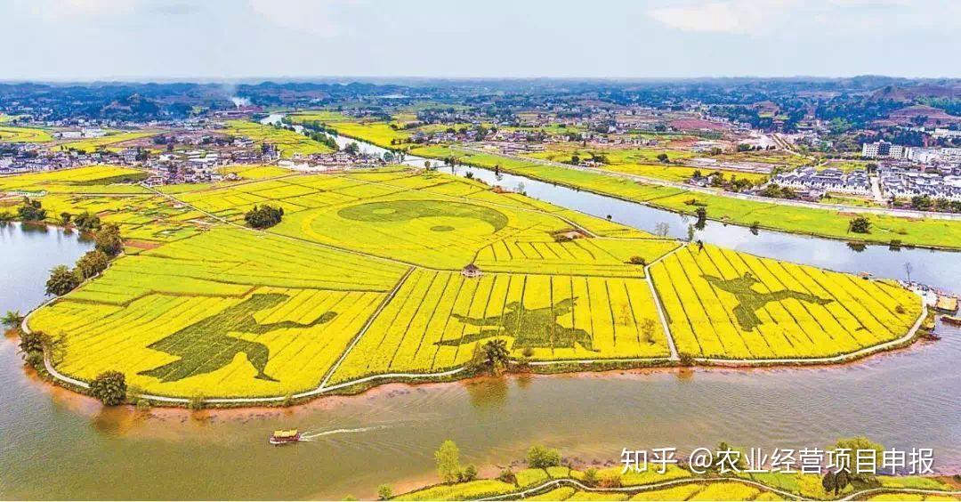 崇龛镇未来繁荣新蓝图，最新发展规划揭秘