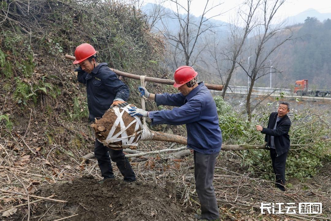 鱼岭村最新新闻报导