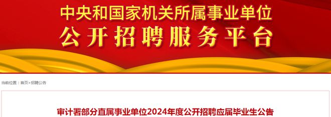 滨湖区审计局最新招聘信息全面解析