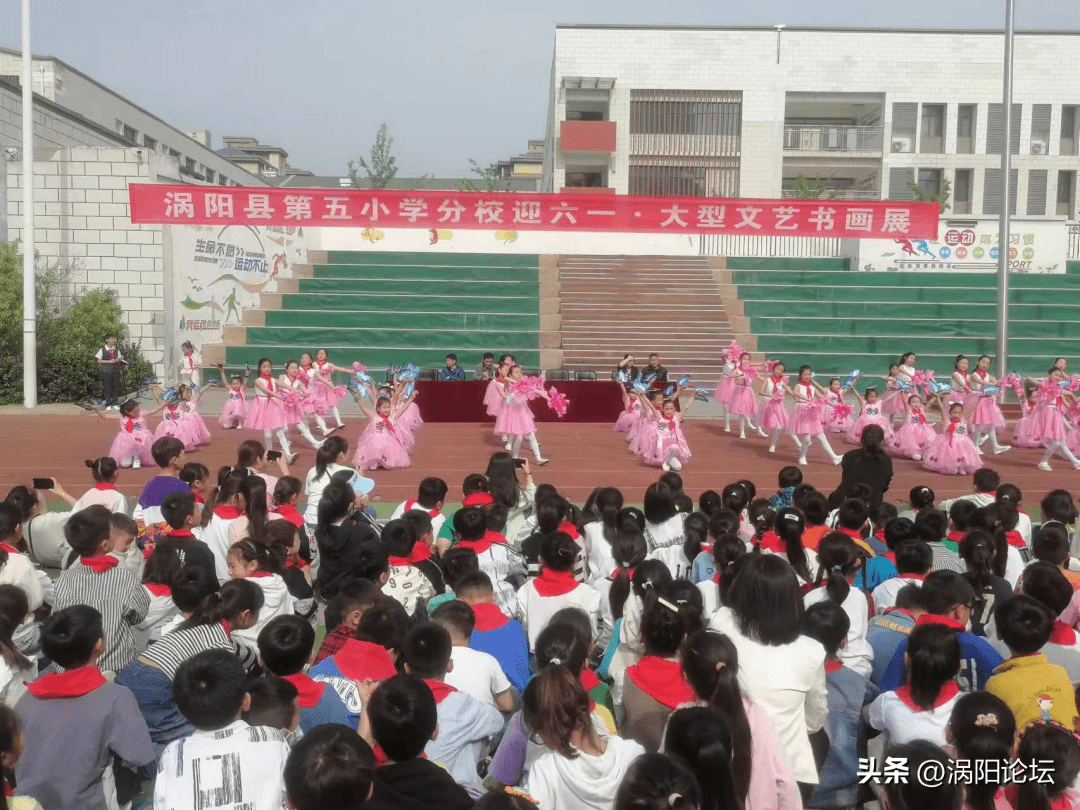 涡阳县小学招聘启幕，教育发展新篇章开启