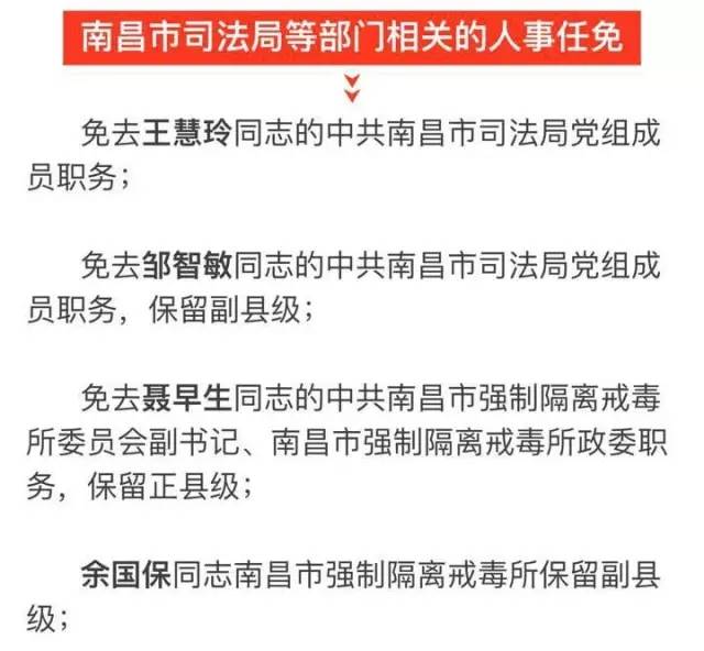 武宣县科技局人事新动态，任命更新及未来展望