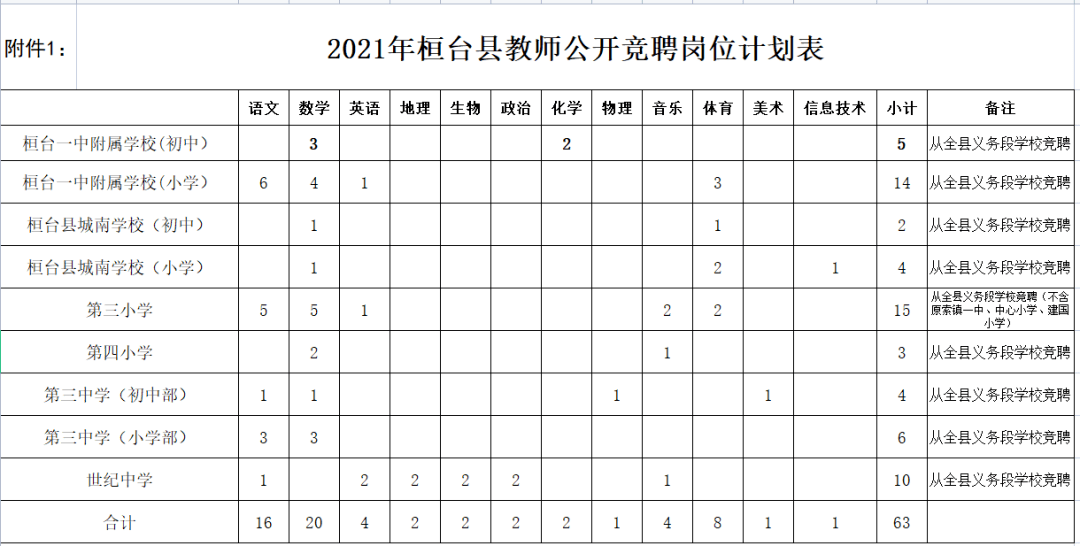 桓台县小学最新招聘启事概览