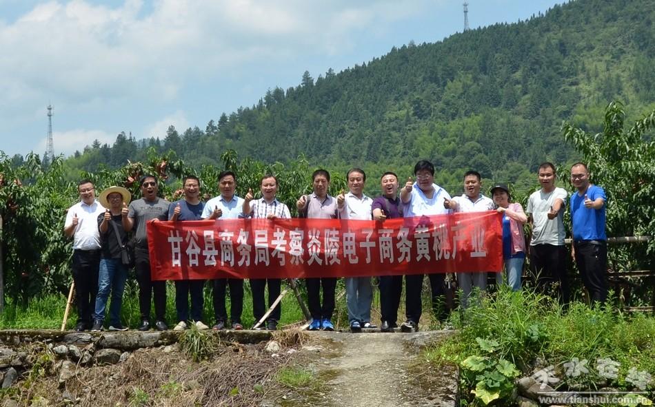 平乐县科技局最新发展规划引领科技创新，助力县域经济高质量发展