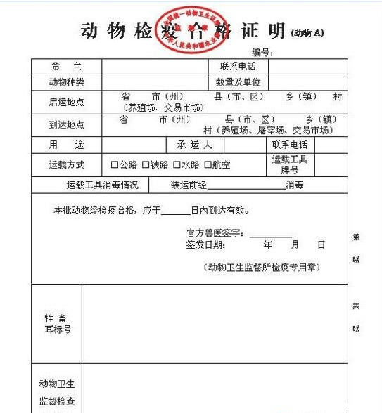 青铜峡市防疫检疫站人事任命最新动态