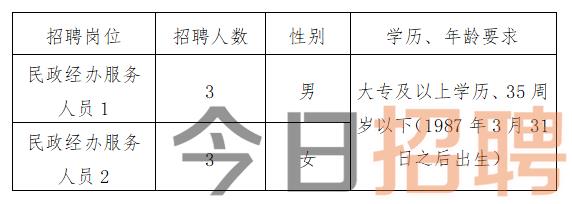 定边县计生委最新招聘信息与招聘趋势解析