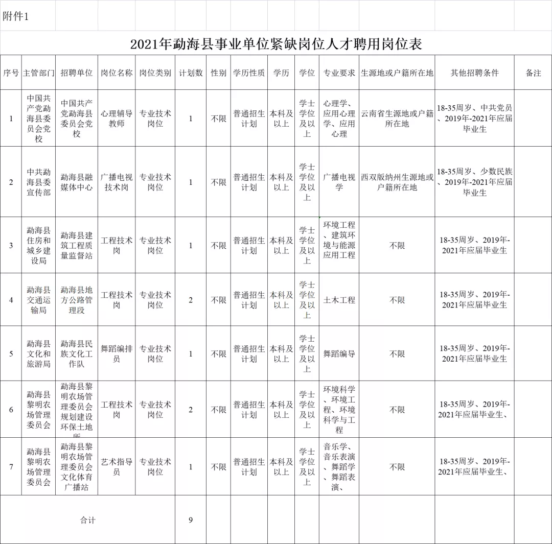 2024年12月20日 第11页