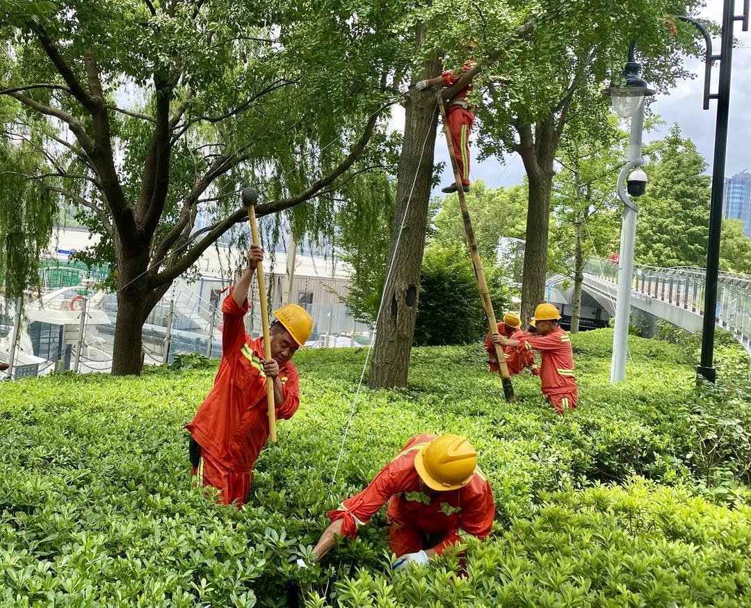 启东市图书馆新领导引领未来发展新力量崛起