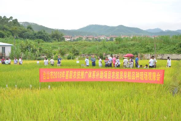 龙华区农业农村局新项目推动农业现代化，乡村振兴再添新动力