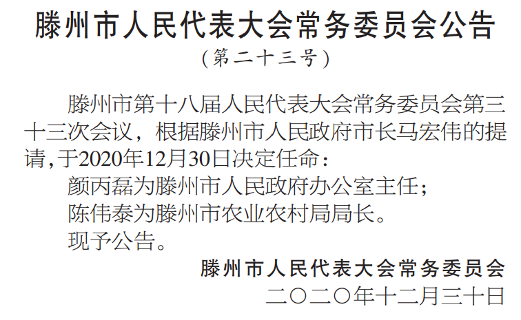 滕州市剧团人事大调整，重塑团队力量，开启发展新篇章