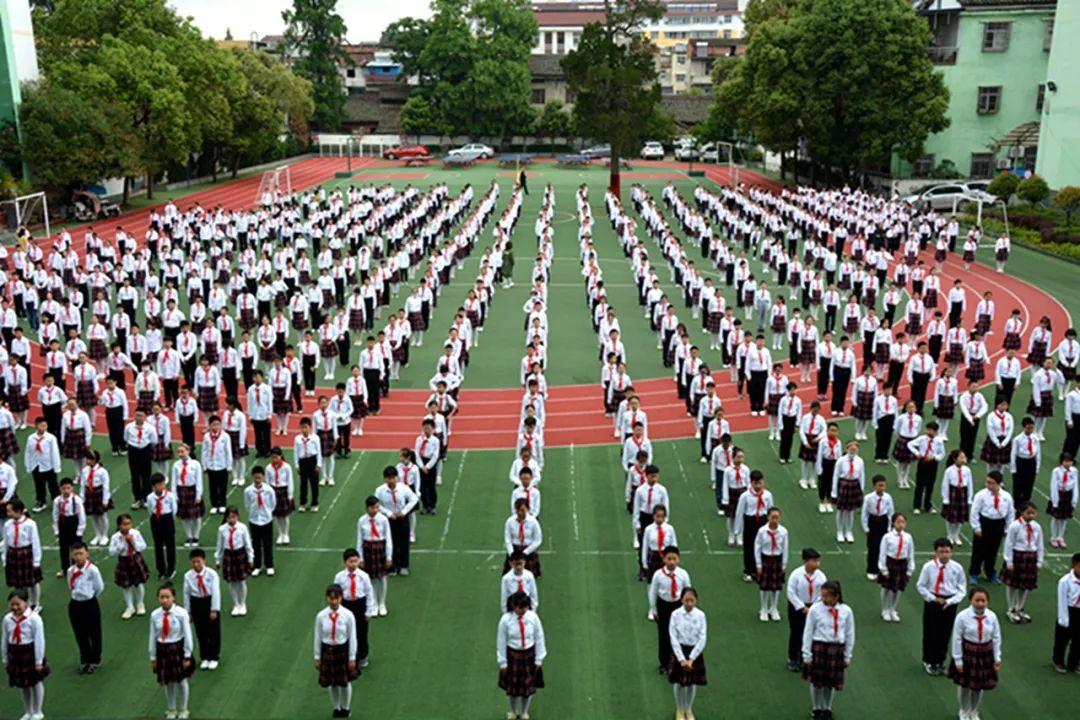 洋县小学最新动态报道