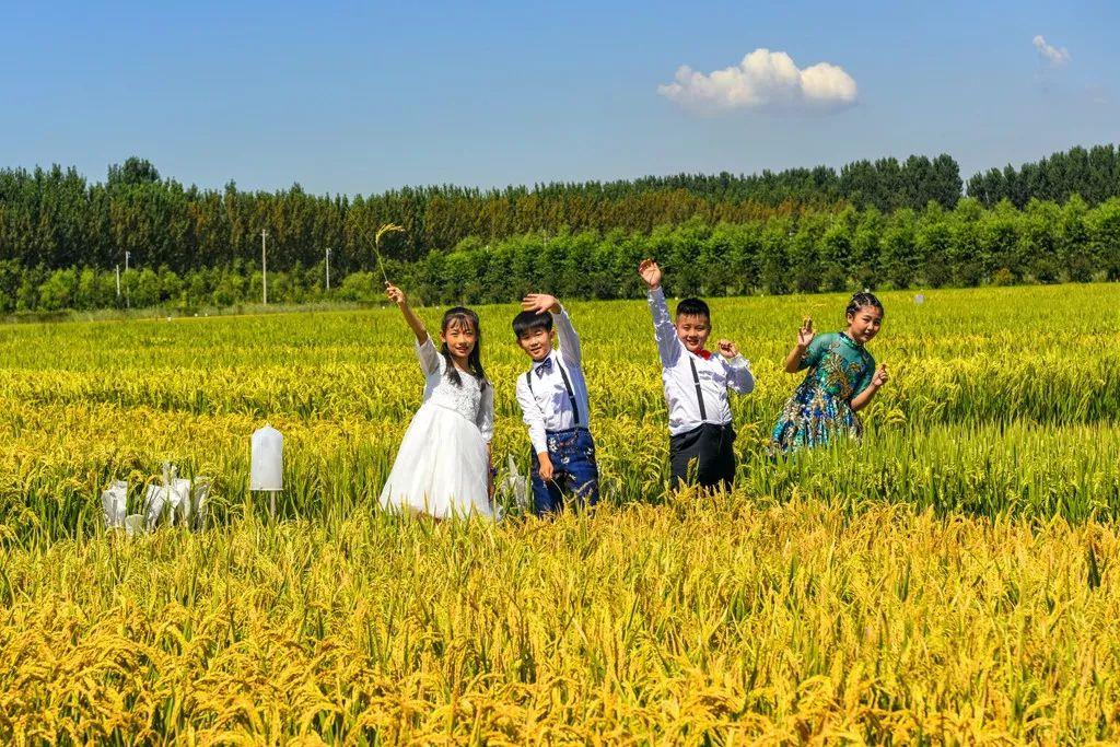 唐海县文化广电体育和旅游局最新动态速递