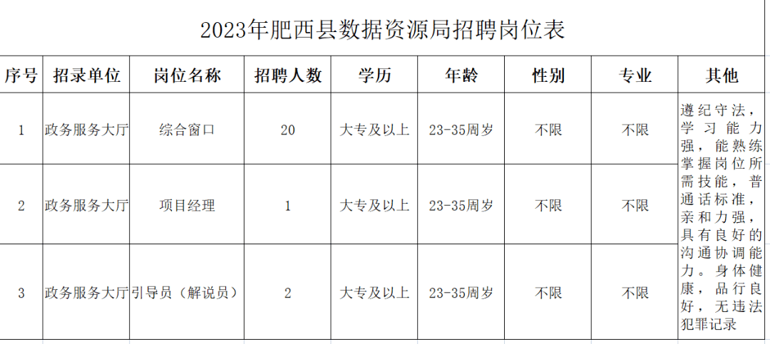 肥西县数据和政务服务局最新招聘启事及职位概述