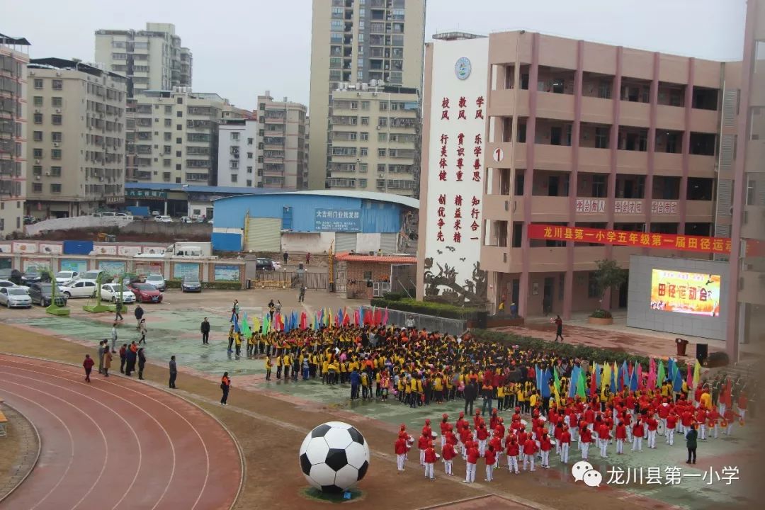 龙川县小学最新项目，迈向教育现代化的步伐