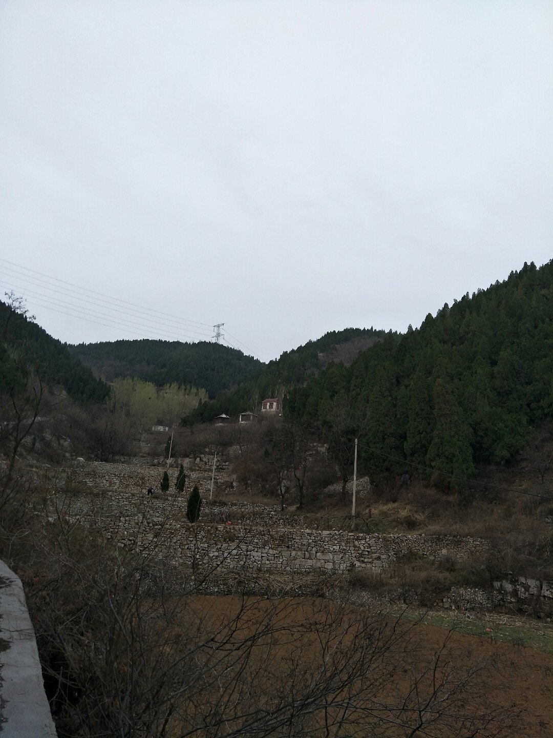 驼峰乡最新天气预报通知