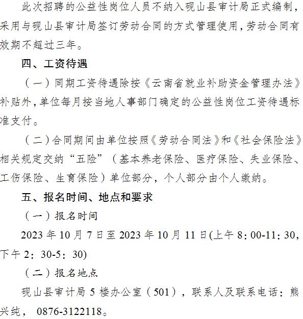 大理市审计局最新招聘启事概览