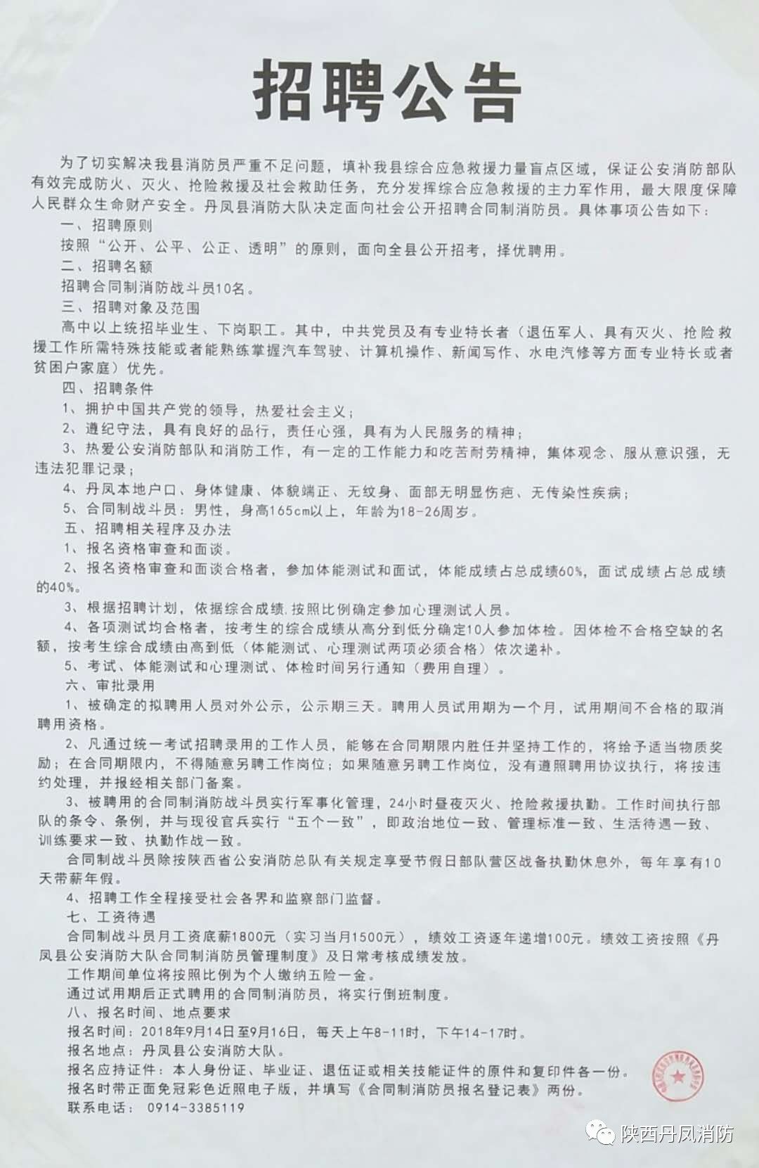 佛坪县科技局及关联单位招聘启事概览