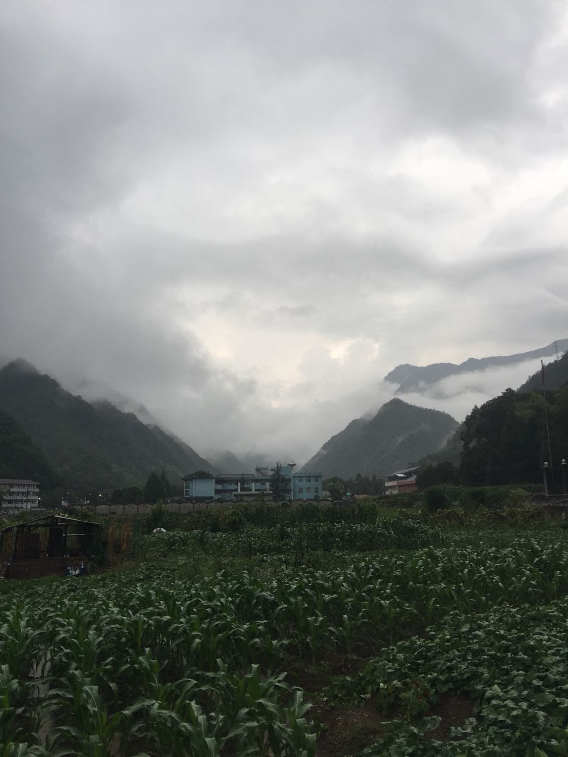 革步乡天气预报更新通知