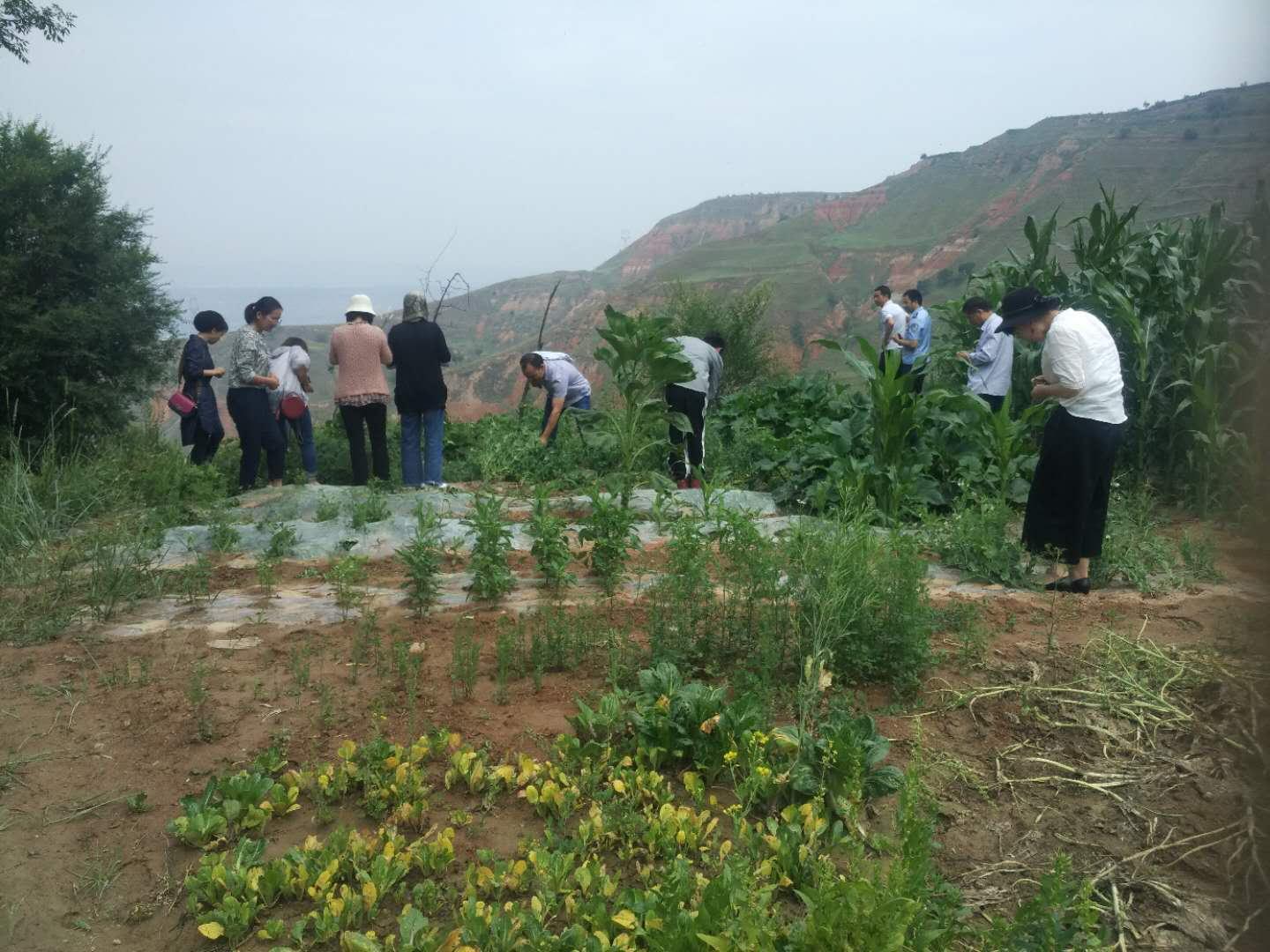 东乡县司法局新项目推动法治建设，深化服务群众需求