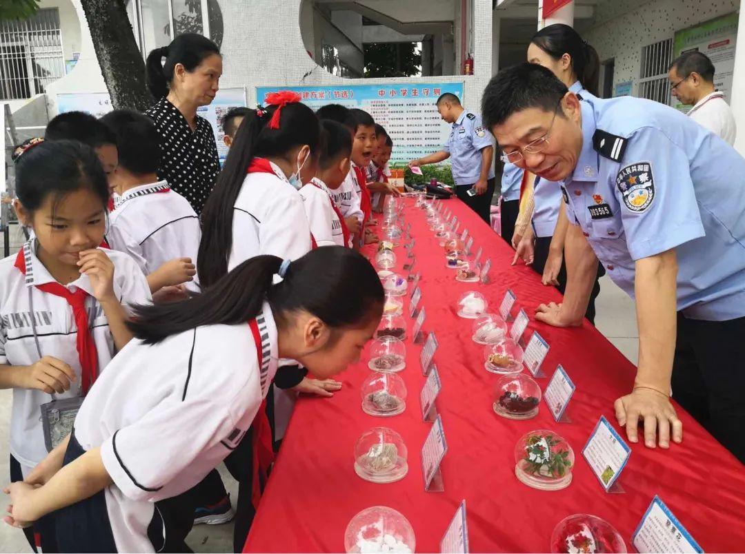 龙湖区小学最新动态报道