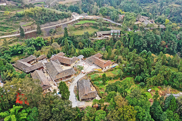 彭水苗族土家族自治县县级托养福利事业单位领导最新概述