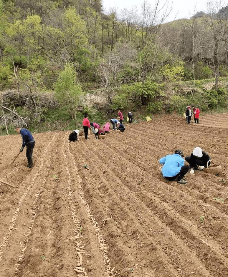 永胜县农业农村局新项目推动农业现代化，乡村振兴再添新动力