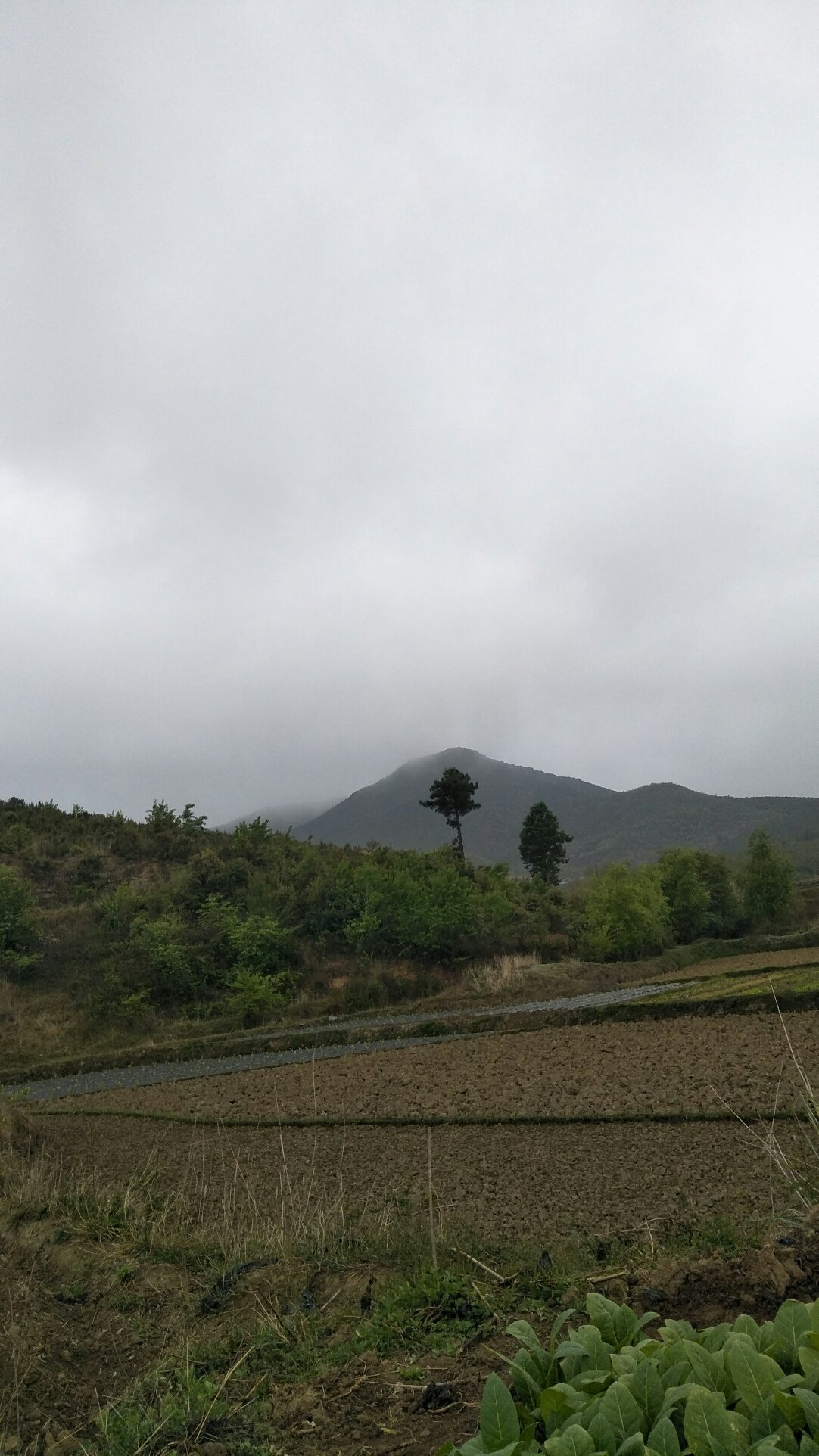 东建乡天气预报更新通知