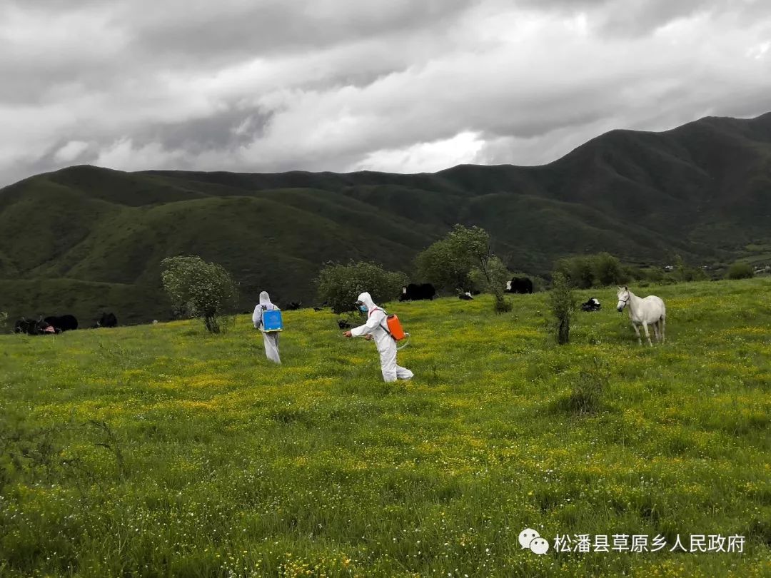 公主陵牧场人事大调整，最新任命动态及未来展望