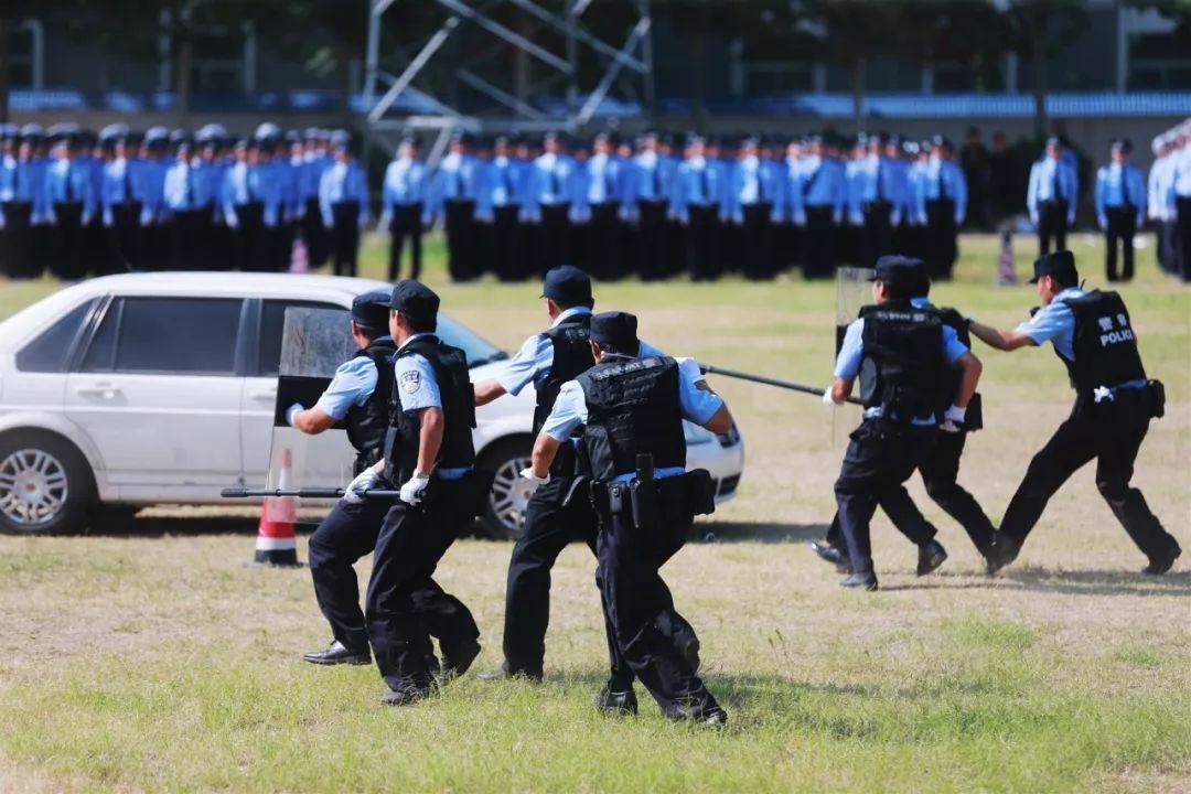 开封市公安局最新动态报道