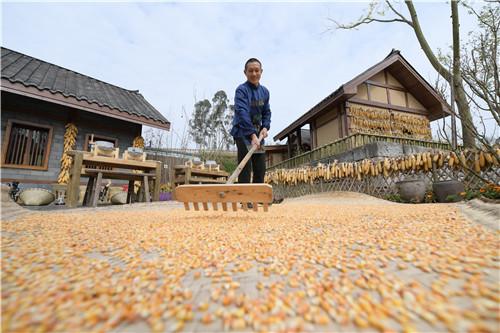 古佛村新项目，乡村振兴与文化遗产保护共谱新篇章