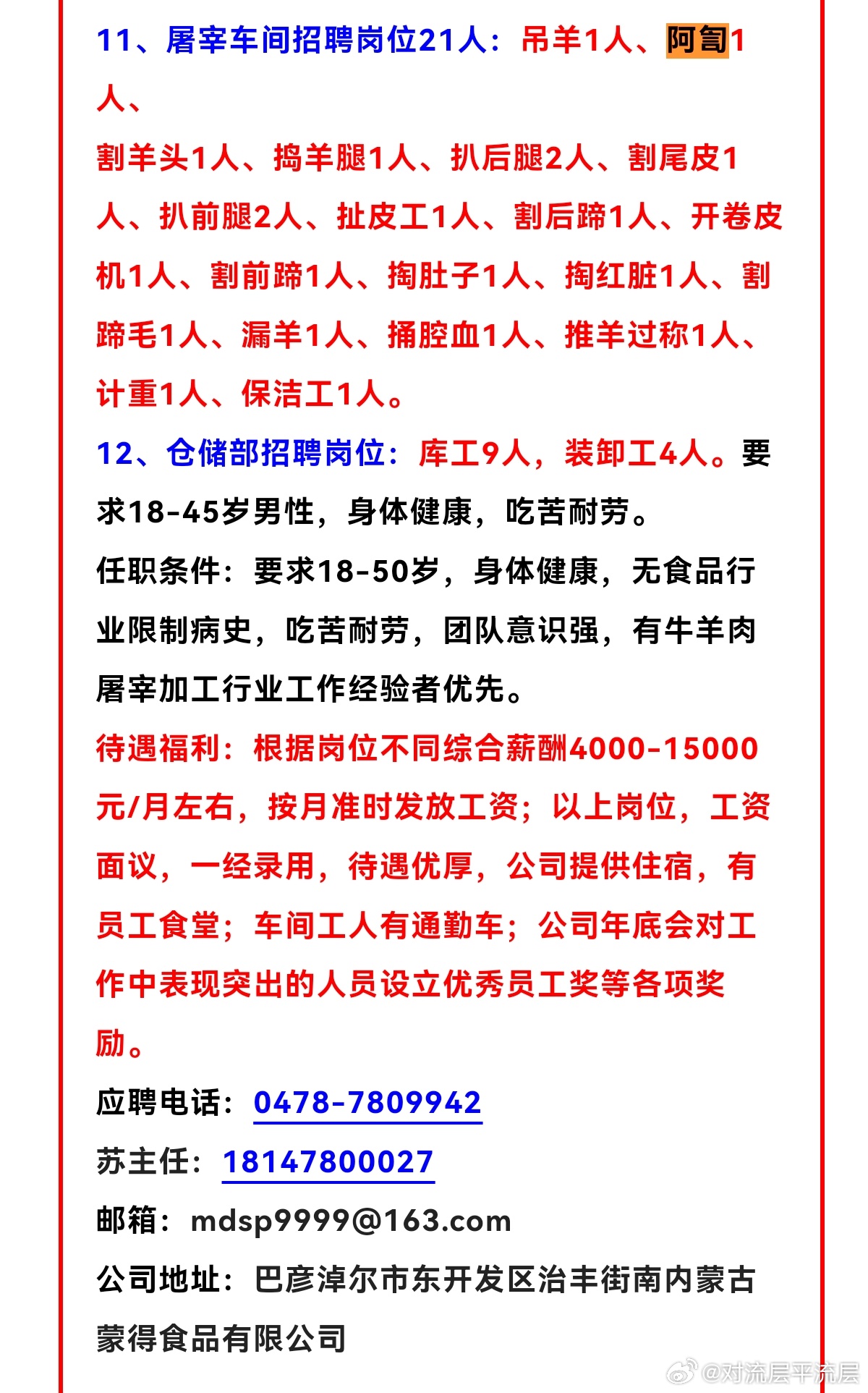 那布最新招聘信息与职业发展机遇概览